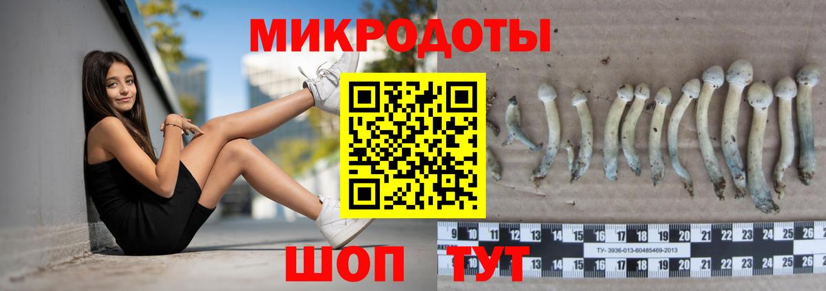 Псилоцибиновые грибы Psilocybine cubensis  Вход с VPN  Ишим 
